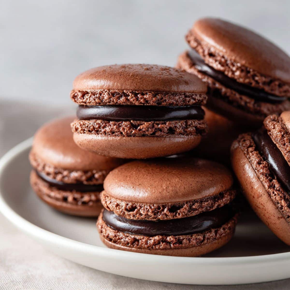 Close-up of chocolate macarons on white counter	