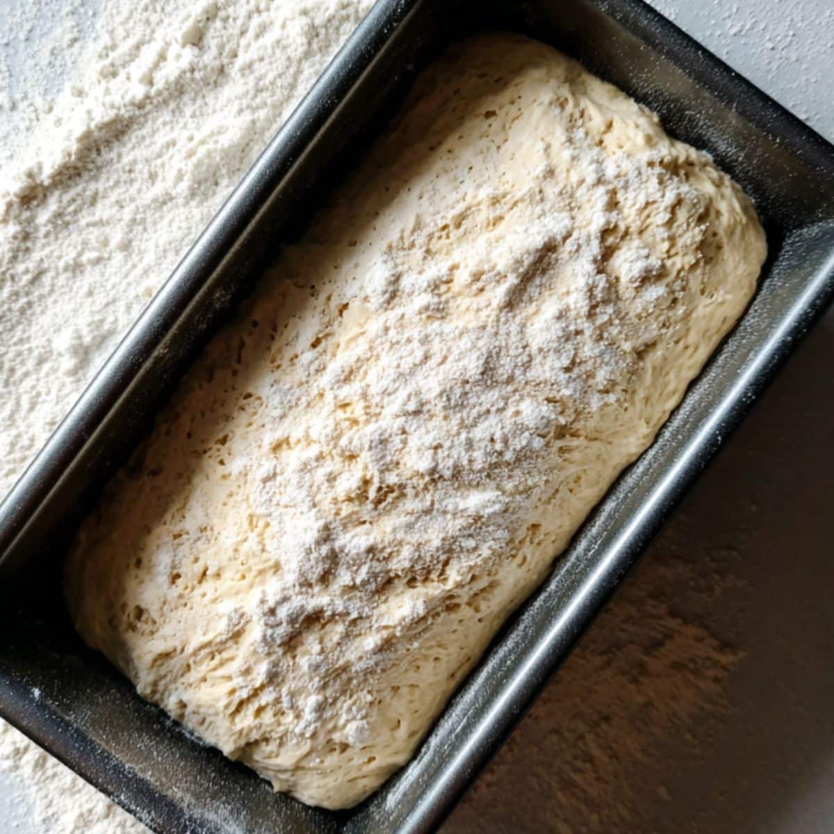 Shaped dough in cornmeal-dusted loaf pan on white surface

