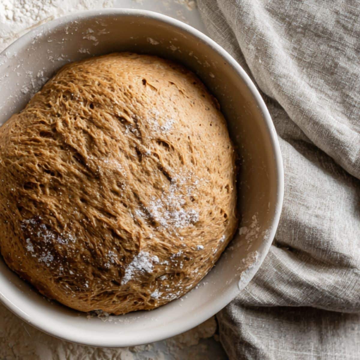 Kneading and preparing dough to rise for Cheesecake Factory-style brown bread