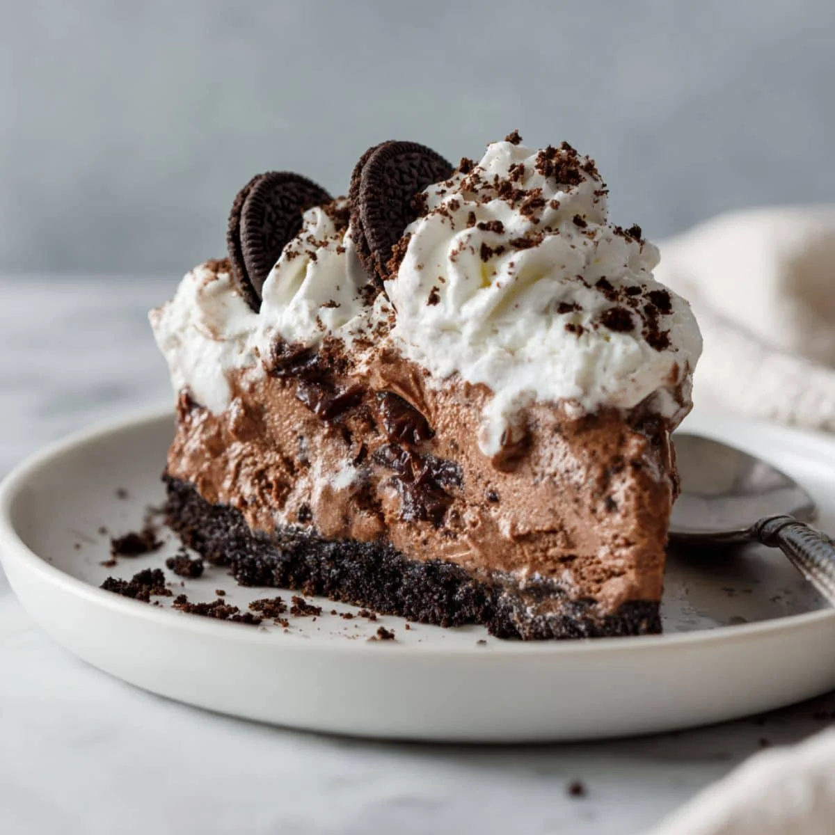 Mississippi mud pie ice cream with Oreo chunks and fudge 	