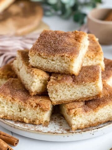 Homemade snickerdoodle bars on a plate with cinnamon sugar toppingHomemade snickerdoodle bars on a plate with cinnamon sugar topping