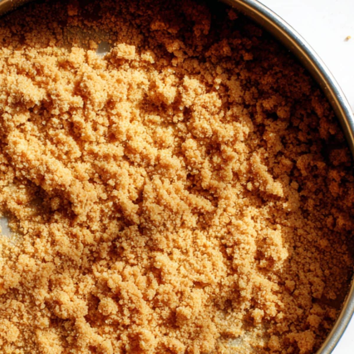 Graham cracker crust in springform pan	