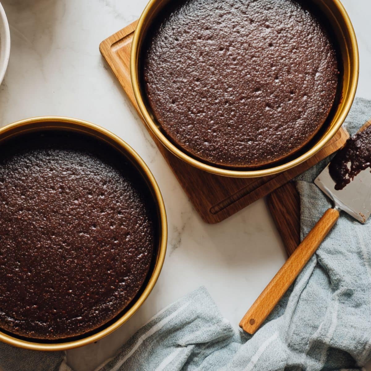 Chocolate cake batter divided into two round pans ready to bake	