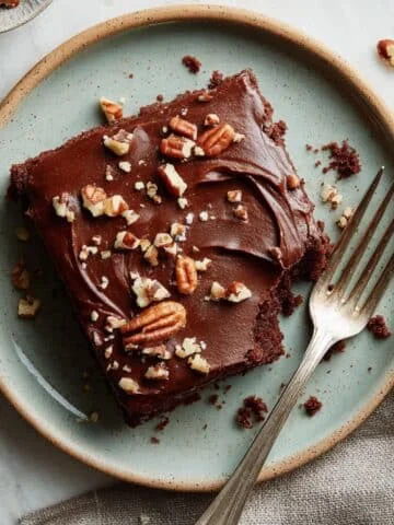 Homemade Texas sheet cake slice with chocolate frosting and chopped pecans on plate.