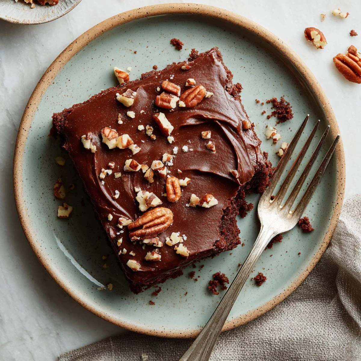 Homemade Texas sheet cake slice with chocolate frosting and chopped pecans on plate.	